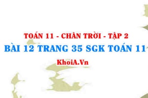 Bài 12 trang 35 Toán 11 Tập 2 Chân trời sáng tạo